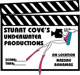 Stuart is the founder and owner of Stuart Cove's Underwater Productions and Stuart Cove's Dive South Ocean.