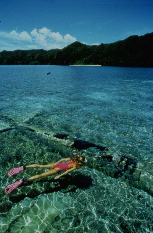 ZERO FIGHTER AT 8 feet/2Meters - Palau, Micronesia, Pacific Ocean ~ id# aquawoman GB007
